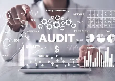 IT Audit Services
