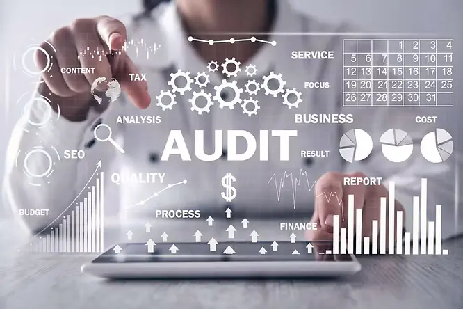 IT Audit Services